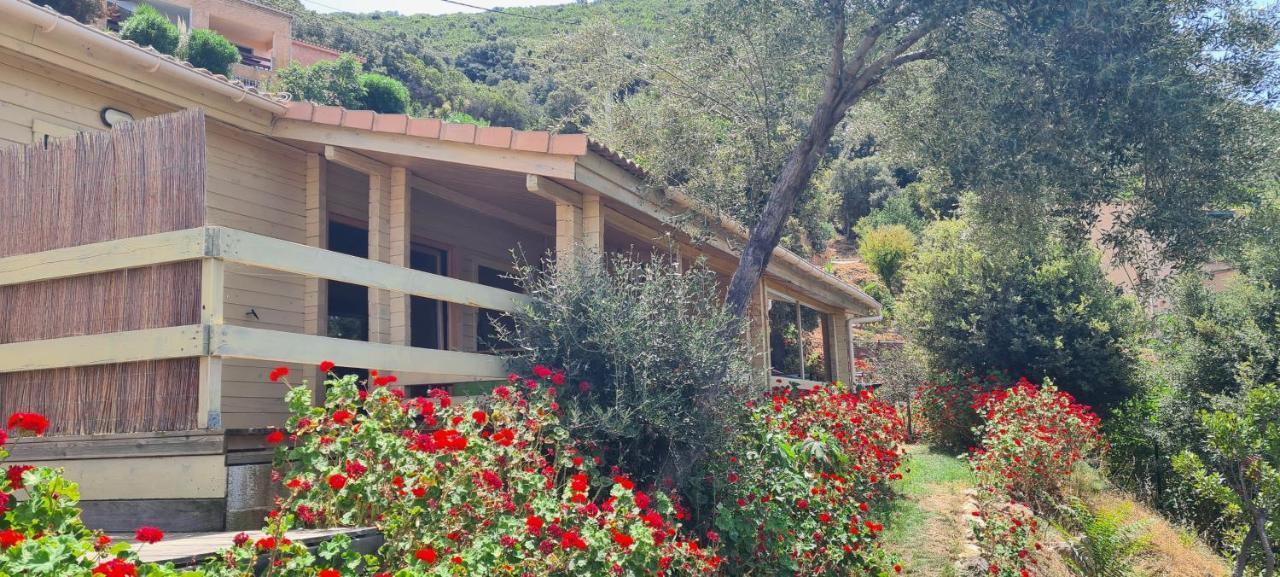 Les Terrasses De Scaglioli Βίλα Villanova Εξωτερικό φωτογραφία