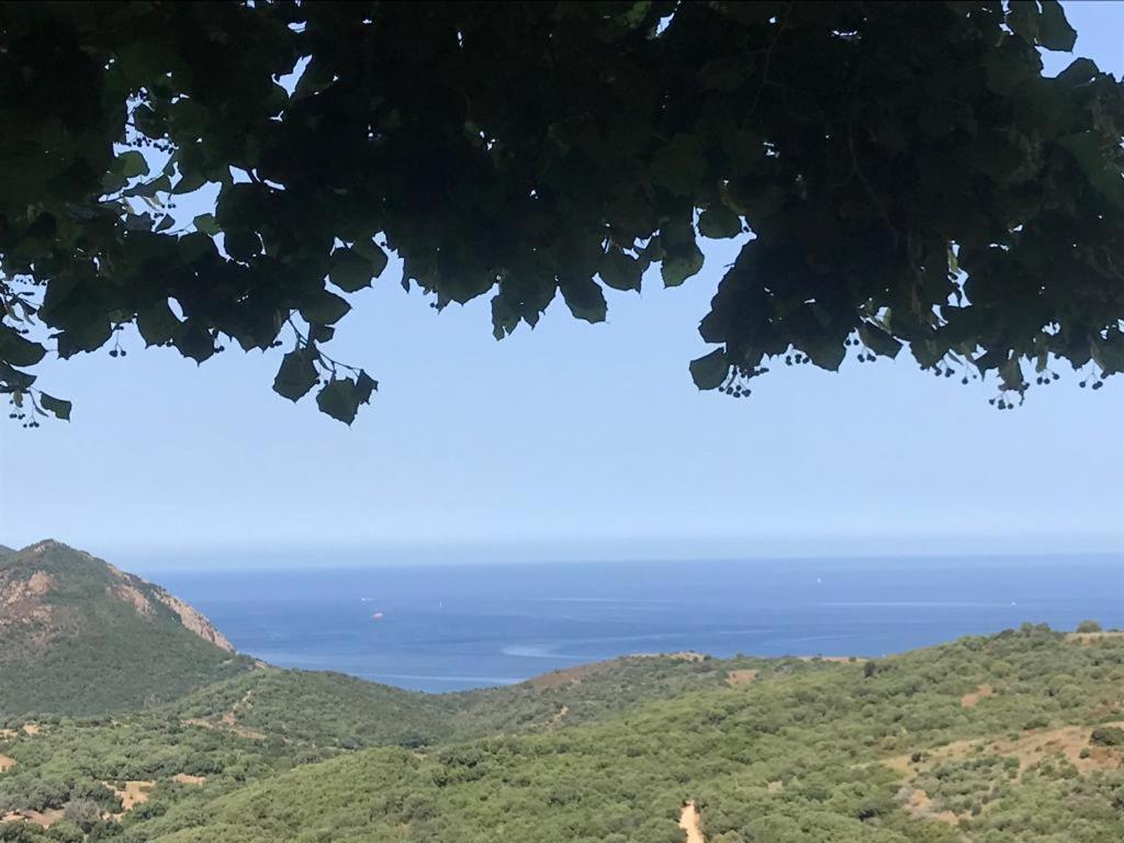 Les Terrasses De Scaglioli Βίλα Villanova Εξωτερικό φωτογραφία