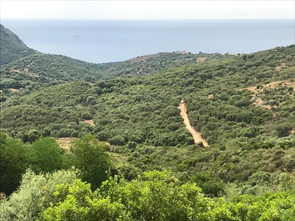 Les Terrasses De Scaglioli Βίλα Villanova Εξωτερικό φωτογραφία