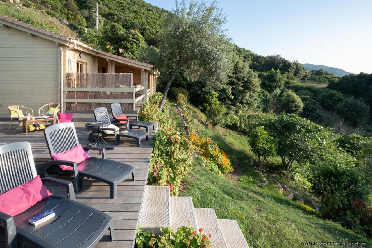 Les Terrasses De Scaglioli Βίλα Villanova Εξωτερικό φωτογραφία