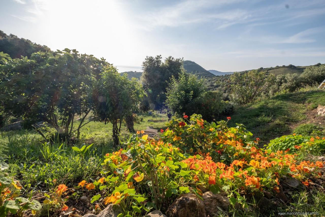 Les Terrasses De Scaglioli Βίλα Villanova Εξωτερικό φωτογραφία