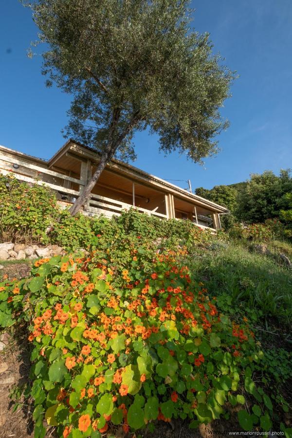 Les Terrasses De Scaglioli Βίλα Villanova Εξωτερικό φωτογραφία