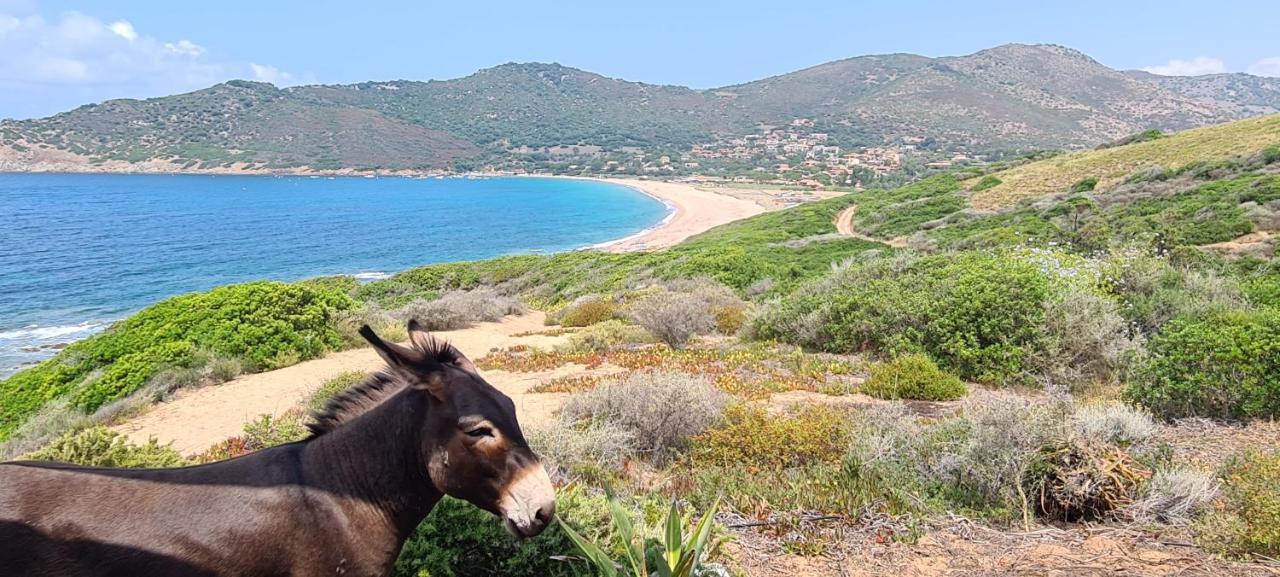 Les Terrasses De Scaglioli Βίλα Villanova Εξωτερικό φωτογραφία